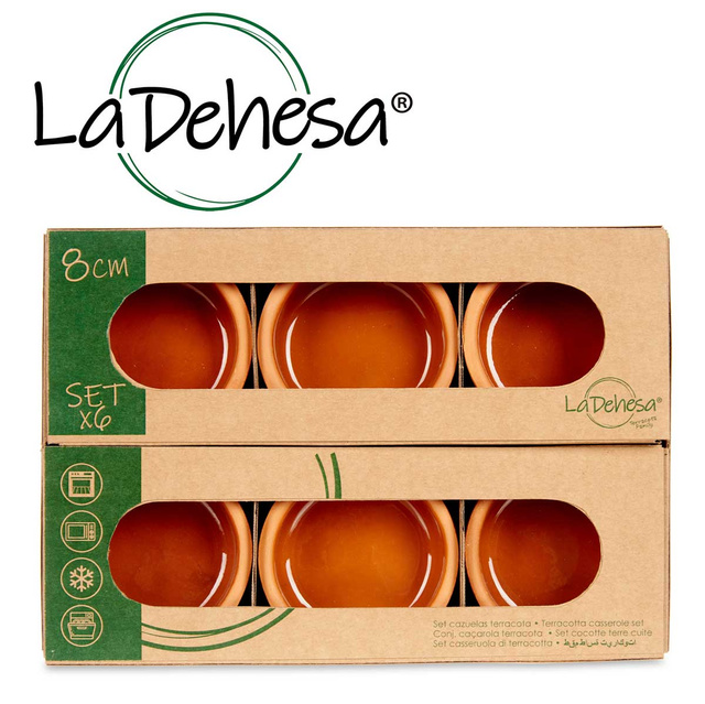 Vas de ceramica, vas cu interior vitrat