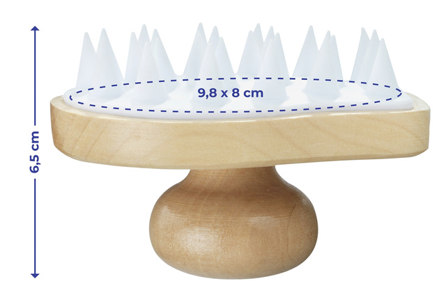 Perie de masaj Wellness 2in1