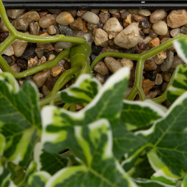 Planta de iederă suspendată metalică Curt înălțime 35 cm