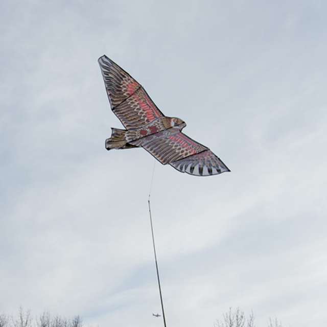 Dispozitiv de speriat pasarile soim in zbor RIBIMEX