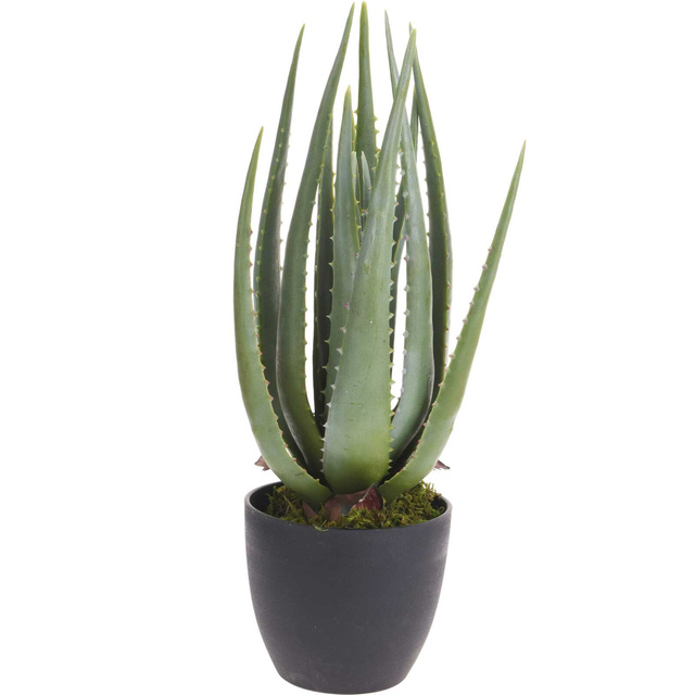 Planta artificiala de aloe, 45 cm