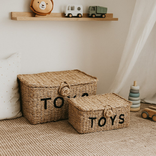 Cutii închise pentru jucării TOYS, 2 coșuri