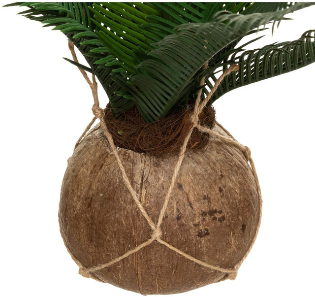 Palmă artificială într-un ghiveci de nucă de cocos, agățat, înălțime de 50 cm
