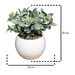 Planta artificiala, Ø 12,5 cm, ghiveci alb