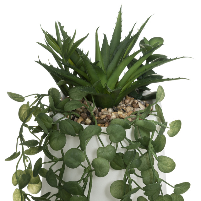 Planta artificiala PEPEROMIA,suspendabila