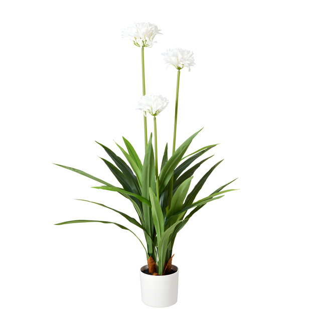 Floare artificială mare în ghiveci Agapant, 70 x 120 cm, albă