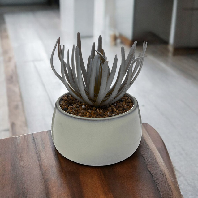 Suculenta artificial în ghiveci CAF, înălțime de 18 cm