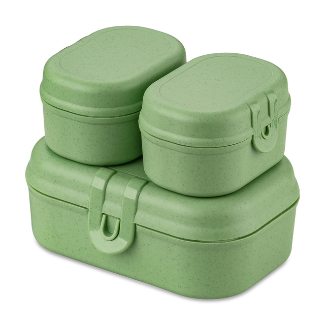 Cutie de prânz MINI PASCAL READY, set 3 recipiente, KOZIOL