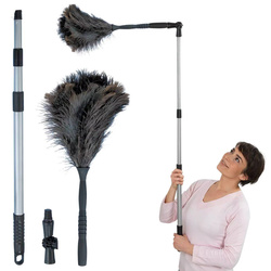 Perie de praf cu mâner telescopic, 129-189 cm