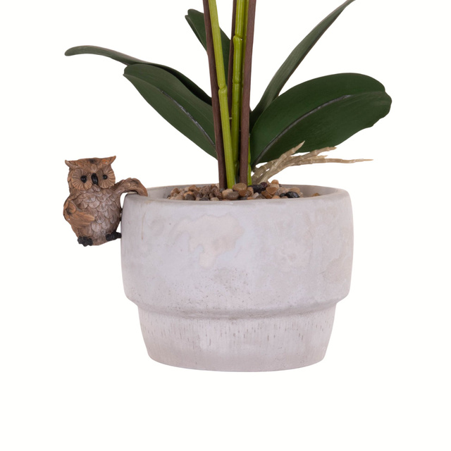 Culoare pentru ghiveci Animal vesel, polyresin, 9 x 4,5 x 8 cm