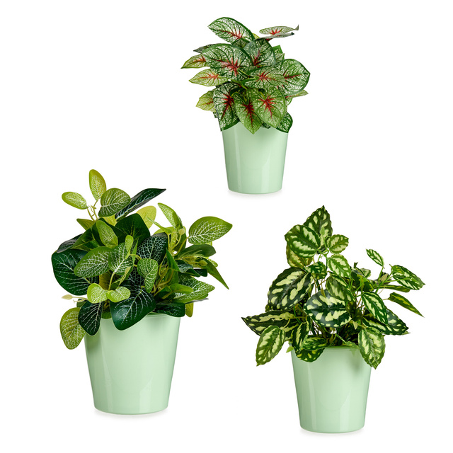 Set ghivece ceramice CONICAL, culori pastelate, 3 bucati