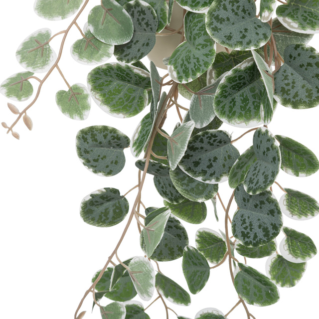 Plantă suspendată SIESTE cu ghiveci din plastic