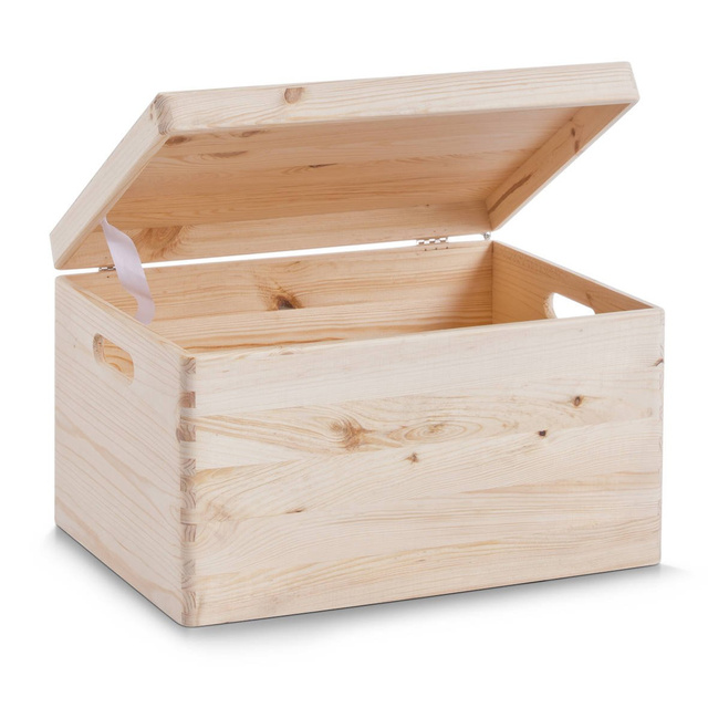 Recipient de depozitare, organizator cu capac, 30 l, ZELLER