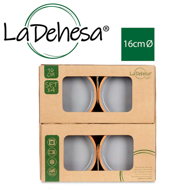 Vas de ceramica, vas cu interior vitrat