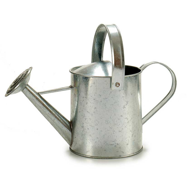 Stropitoare din zinc OASIS, 2 l