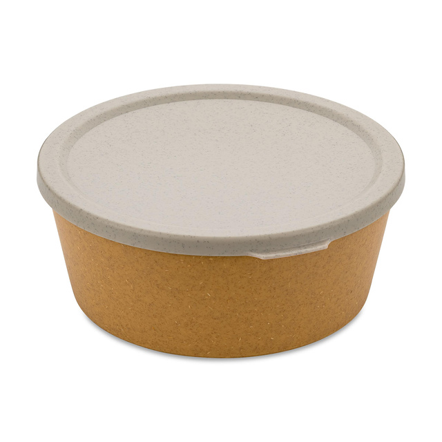Recipient alimentar CONNECT BOWL, ermetic, 400 ml, KOZIOL