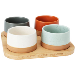 Set de boluri colorate pentru servire