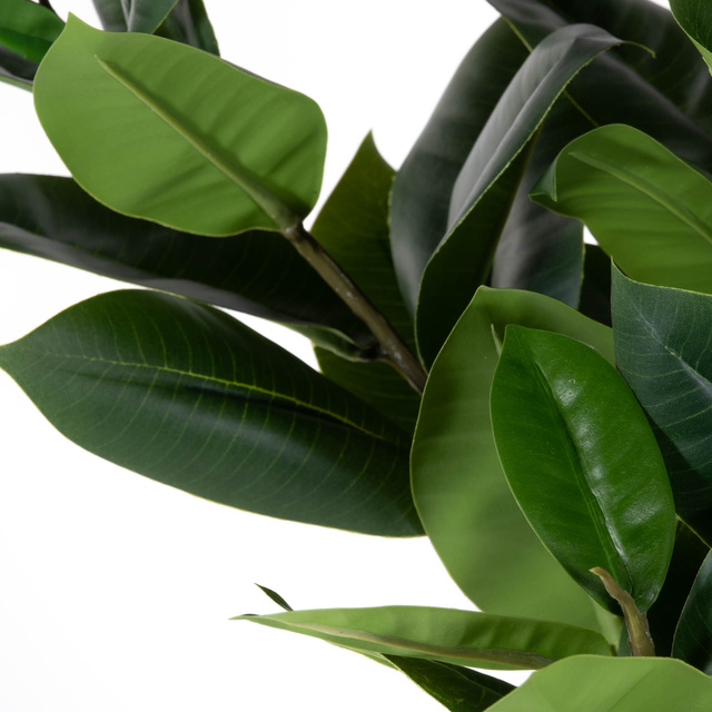 Planta artificială arbore de cauciuc, 69 cm