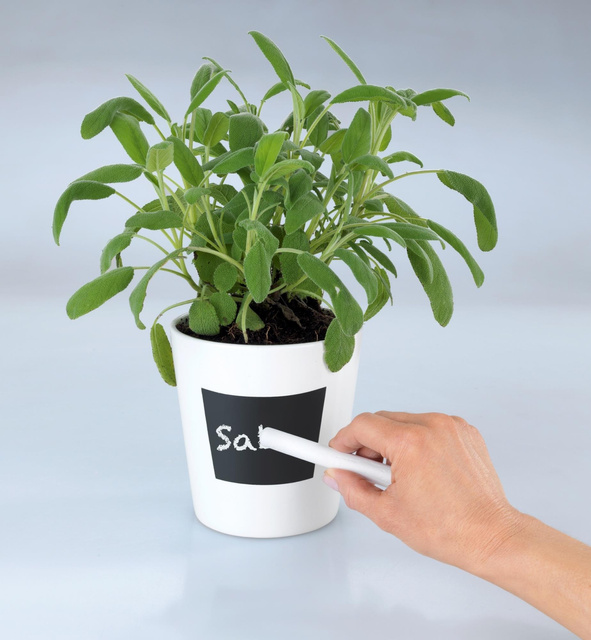 Ghiveci din ceramică WAIA, alb, ∅ 13, WENKO