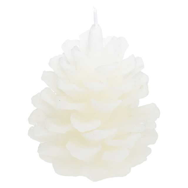 Set parfum WILD SCENT