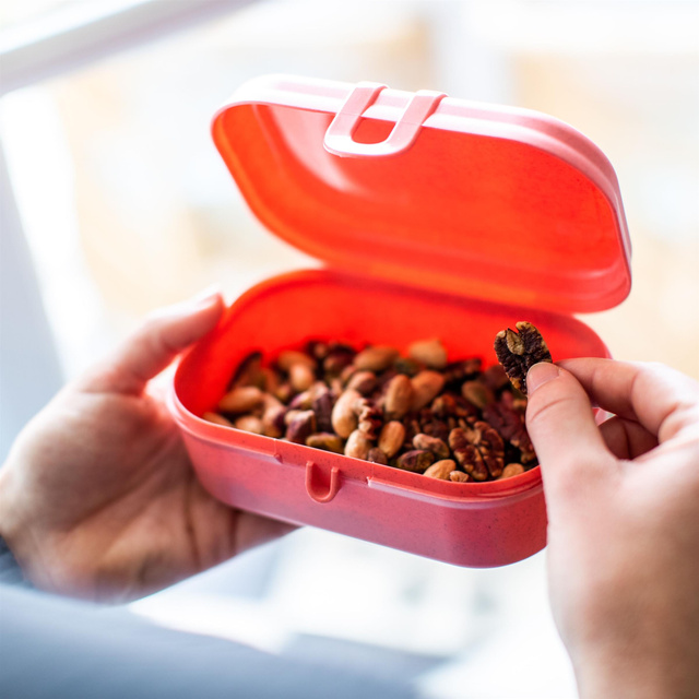 Cutie pentru sandvișuri PASCAL S, KOZIOL, coral natural