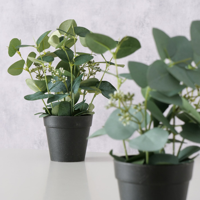 Planta artificiala Sage, eucalipt in ghiveci, 30 cm, verde deschis