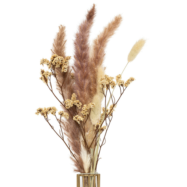 Vaza pe cadru cu plante uscate, inaltime 40 cm