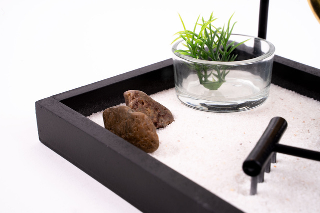 Gradina ZEN, 12 x 15 x 16 cm