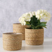 Ghivece decorative SOPHY, 3 bucăți