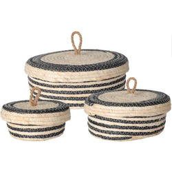 Recipiente de depozitare cu capac, 3 buc