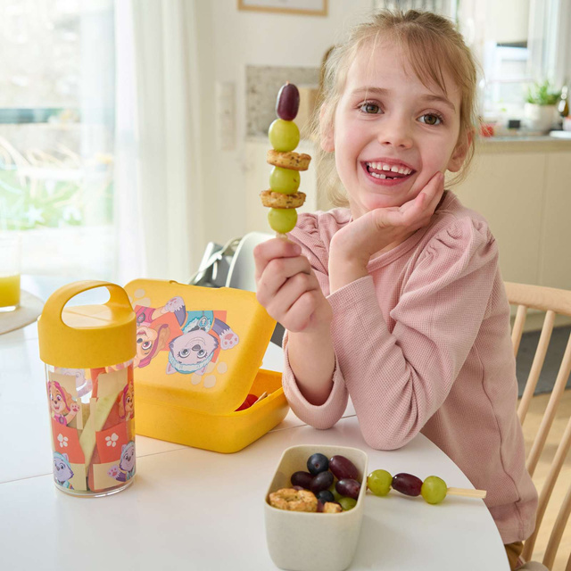 Sticla de apa BUDDY SNACK Patrula cățelușilor, 500 ml, KOZIOL