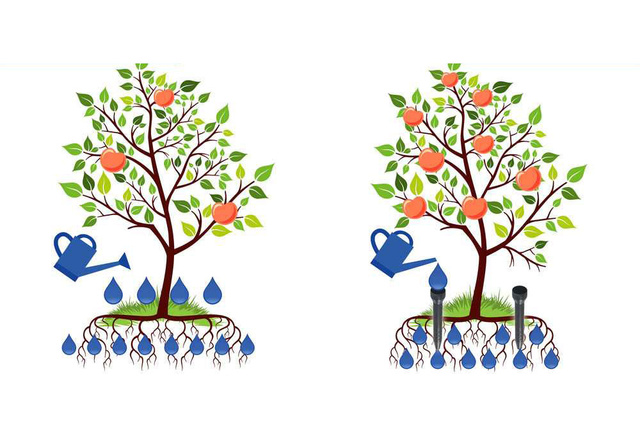 Irigator pentru plante, 3 bucati