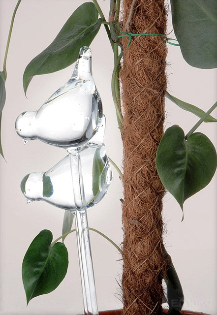 Irigator din sticlă pentru udarea plantelor PTAK - 2 bucăți în set