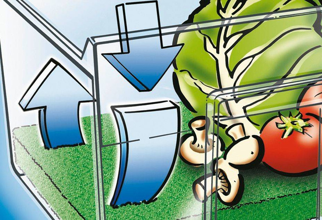 Mata antifungică, antibacteriană pentru frigider, WENKO