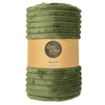 Pătură din flanel 160 x 130 cm, verde