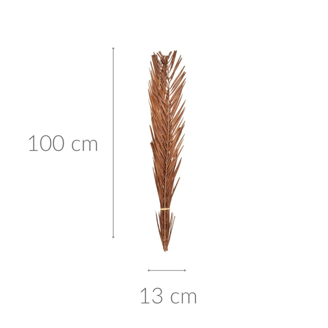 Flori uscate pentru sufragerie, crenguțe 100 cm