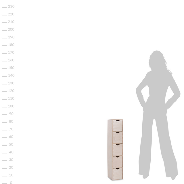 Recipient pentru mărunțișuri, 5 sertare, din lemn, mini raft pentru decoupage - 86x21x18 cm, ZELLER