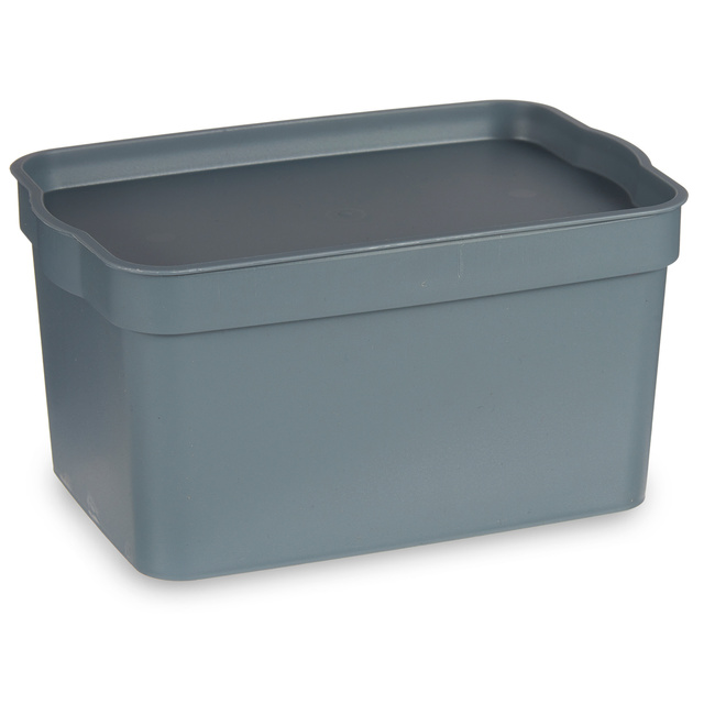 Cutie de depozitare din plastic, 2,3 l