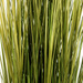 Iarba decorativa, Verde, 100 cm