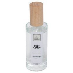 Parfum de cameră spray RELAX, 100 ml, eucalipt
