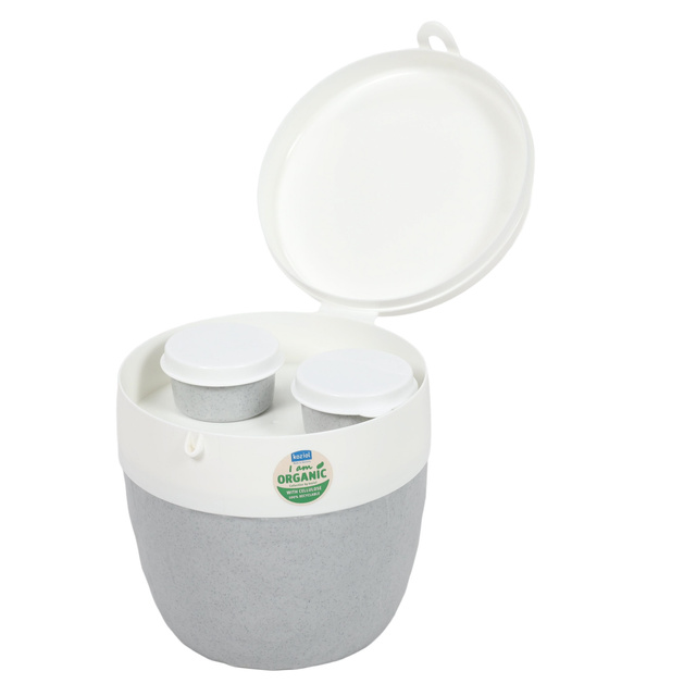 Cutie pentru salata si sos BENTOBOX L, 3 elemente, KOZIOL