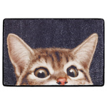 Covoras de intrare CAT, 60 x 40 cm