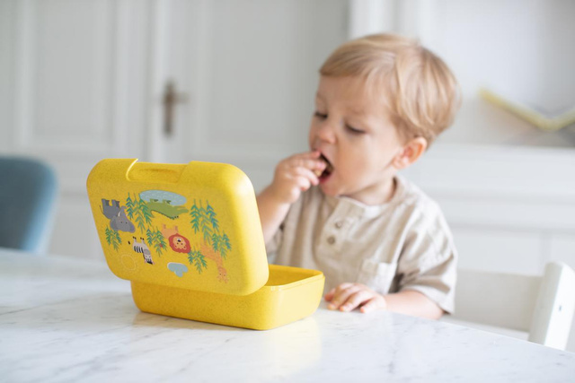 Cutie de prânz pentru copii CANDY L HARRY, bio, KOZIOL