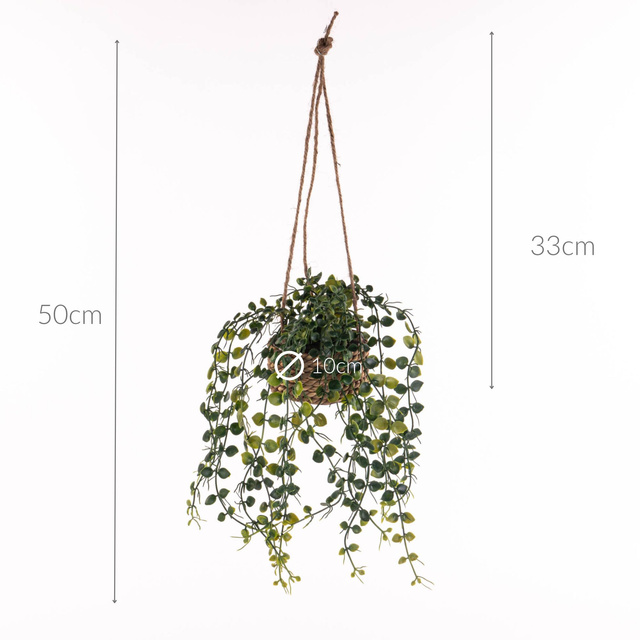 Plantă suspendată PATRI Ø 14 cm cu ghiveci din fibre naturale