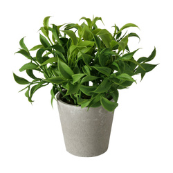 Planta artificiala in ghiveci de ciment FERIGA, 17 cm