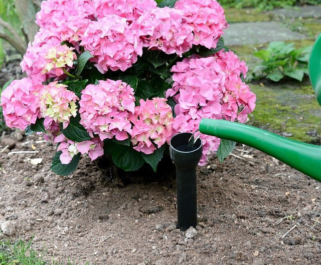 Irigator pentru plante, 3 bucati