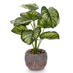 Plantă artificială CALATHEA ORBIFOLIA, 37 cm