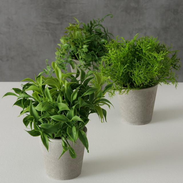 Planta artificiala in ghiveci de ciment FERIGA, 17 cm