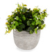 Plantă artificială în ghiveci, Ø 20 cm