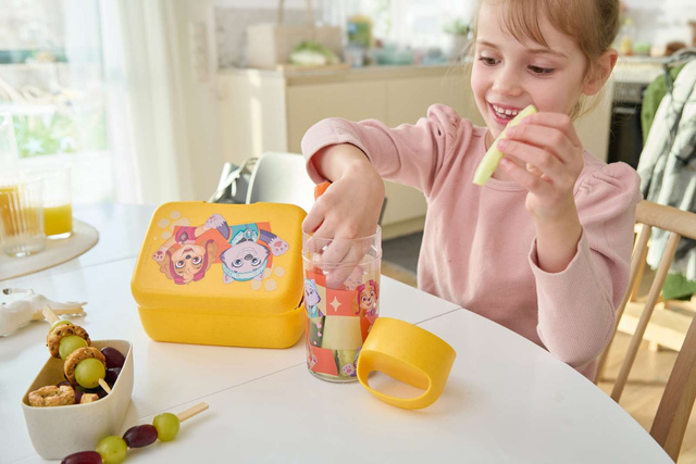 Sticla de apa BUDDY SNACK Patrula cățelușilor, 500 ml, KOZIOL